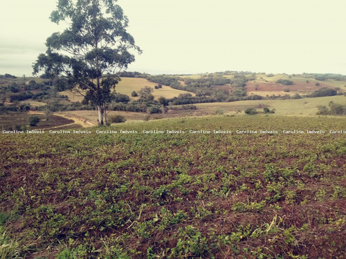 Imagem 7 de 8 de Área Rural Para Venda Em Mariana Pimentel, Boqueirão - 1208_1-1516489