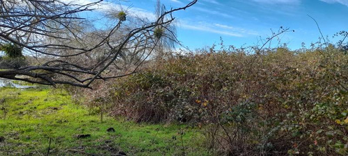 Campo Para Inversión En San Carlos