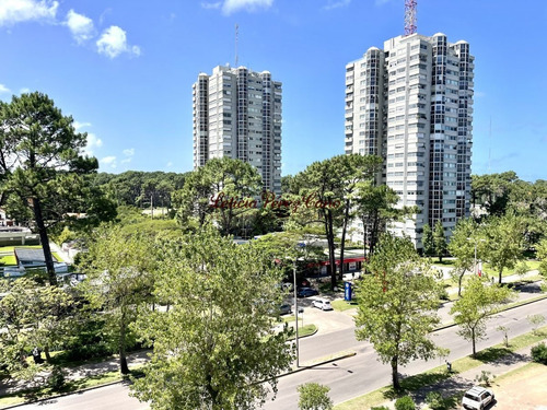 Imagen 11 de 19 de Oportunidad Venta Apartamento 2 Dormitorios En Roosevelt