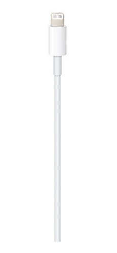 Cable Apple Usb Tipo C A Lightning (1 M) Original