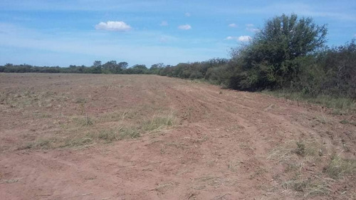 Imagen 11 de 13 de Se Venden 76 Hectareas A 5 Km De Las Arrias