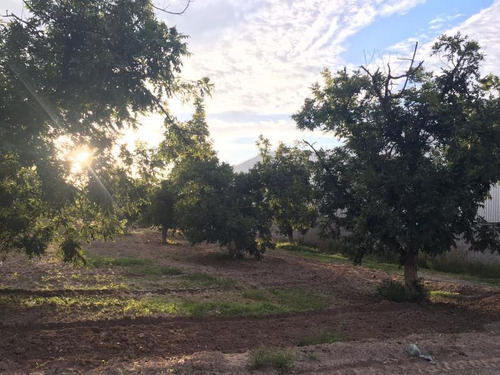 Imagen 8 de 10 de Terreno En Venta En Fraccionamiento La Barranca