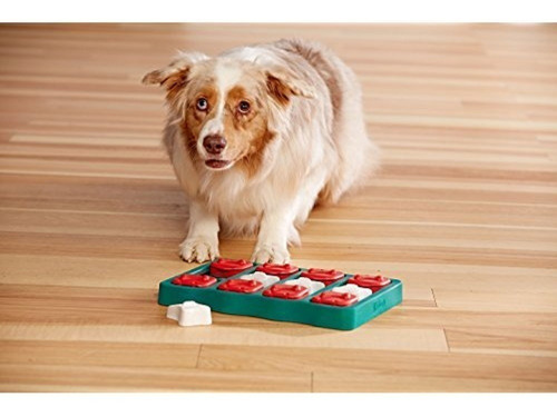 Brinquedo Interativo P/ Cães Puzzle Nina Ottosson Dog Brick