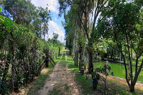 Imagem 19 de 30 de O Paraíso No Balneário Rincão !! Sítio A Beira Da Lagoa Dos Esteves !! - Br275 - 69284191