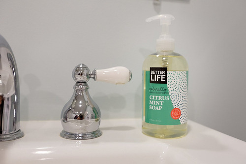 Mejor Vida Natural De La Mano Y Jabones, Citrus Mint, 12 Onz