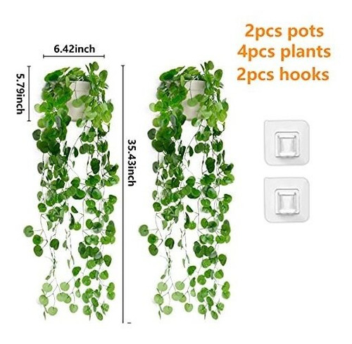 Imagen 3 de 9 de Plantas Colgantes En Macetas Falsas, 2 Jardineras De Pared C