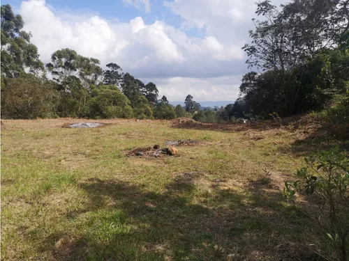 Lote En Venta Rionegro-los Pinos