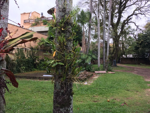 Casa Em Tristeza Com 4 Dormitórios - Vz4048