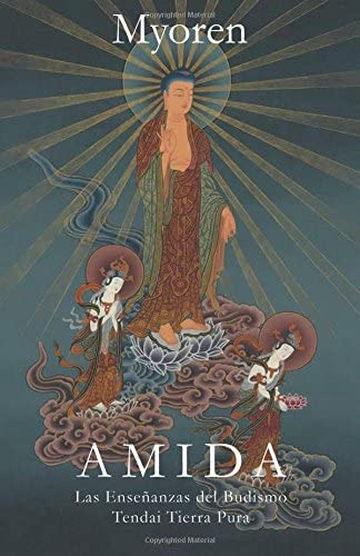 Libro: Amida: Las Enseñanzas Del Budismo Tendai Tierra Pura 