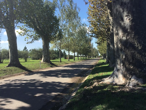 Terreno En Estancia La Rinconada - Ibarlucea - Ruta 34 Km 10
