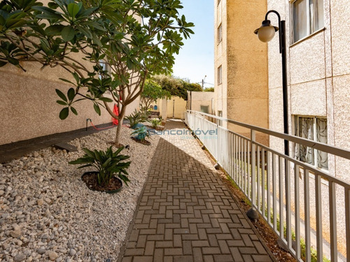 Imagem 18 de 30 de Apartamento Residencial Para Venda E Locação Em Paulínia - Ap03371 - 69685737