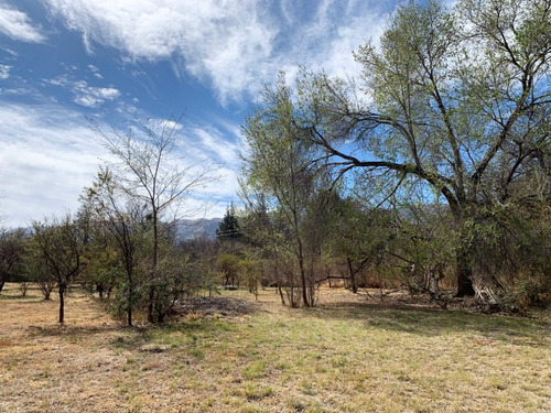 Imagen 5 de 9 de Lote En Venta 1300 M² | Las Moreras, Merlo (sl)
