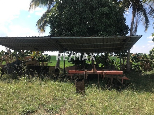 Finca Agrícola Pimpinela