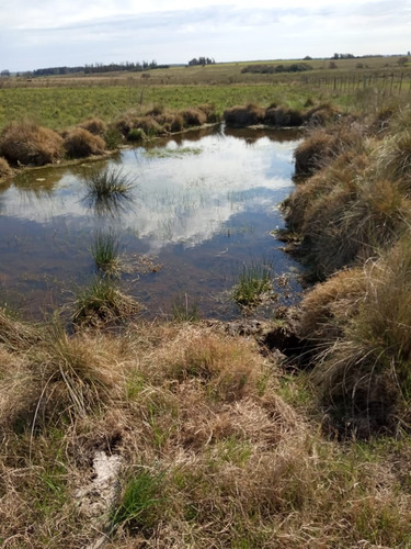 9 Has A 5 Km De Tala - Chacra, Campo