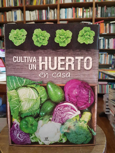 Cultiva Un Huerto En Casa