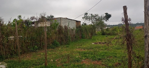 Imagem 5 de 6 de Terreno