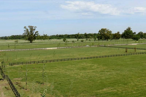 Imagen 16 de 29 de Oportunidad Venta De Amplio Lote En La Mejor Zona De Polo - Caspian Polo Chacras