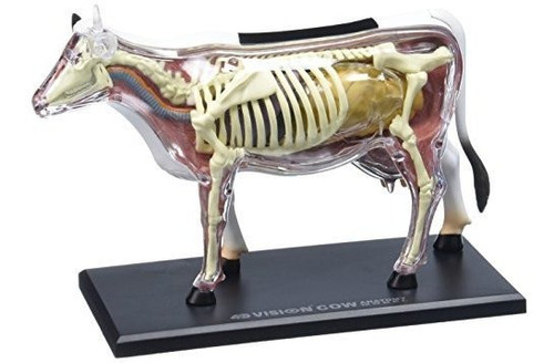 Modelo Tedco 4d Vision Cow