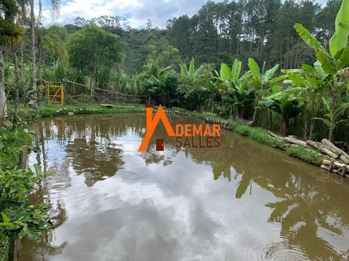 Imagem 13 de 26 de Chacara - Ch00116 - 70731081