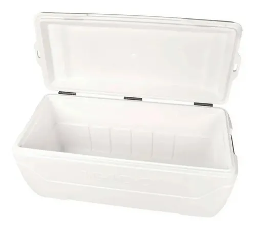 Igloo maxcold cheap 248 can