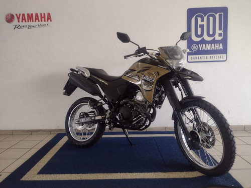 Imagem 4 de 4 de Xtz Lander 250 Abs