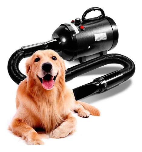 Soprador Secador Profissional Cães Gatos Banho Tosa Pet Shop Cor Preta 110V