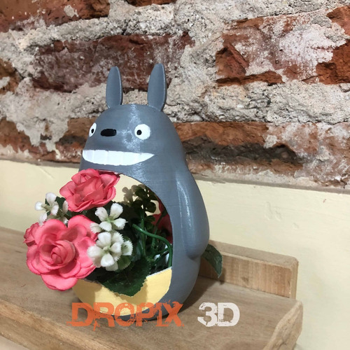 Totoro Dropix·3d Mar Del Plata