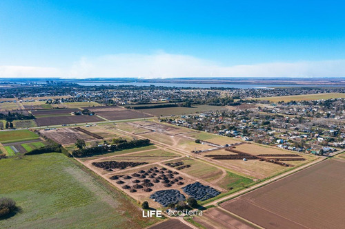 Imagen 15 de 28 de Ecotierra Sur - 300 M2