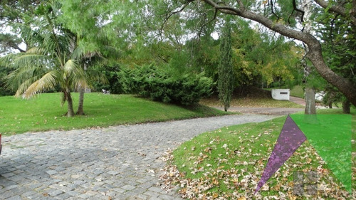 Casa En Venta En Punta Del Este,zona Golf- Ref: 29700
