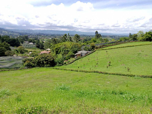 Lindo Lote Con Vista Espectacular En Venta - El Carmen De Víboral Ant.