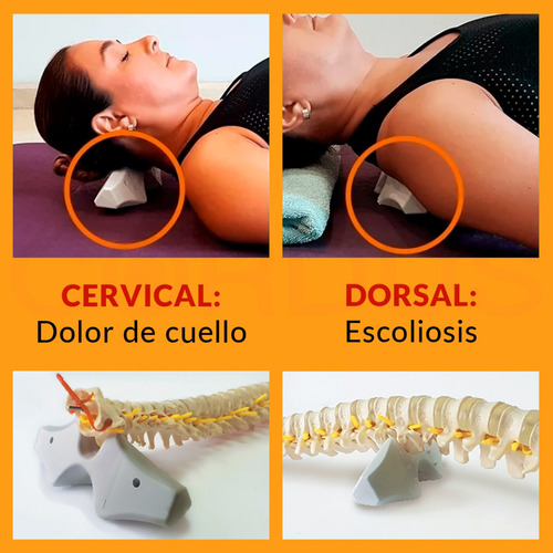 Cordus Dolor Ciático Hernias Escoliosis Lumbalgia Postura
