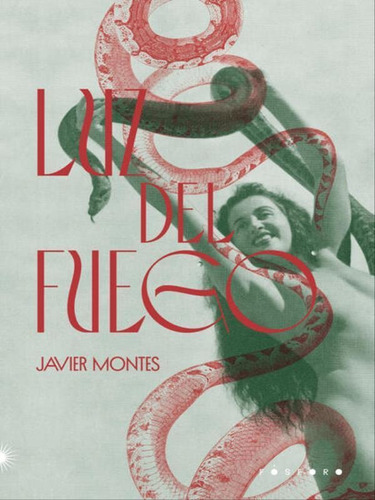 Luz Del Fuego, De Montes, Javier. Fósforo Editora, Capa Mole Em Português