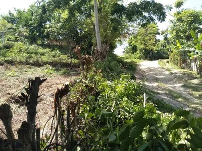 Terreno en venta