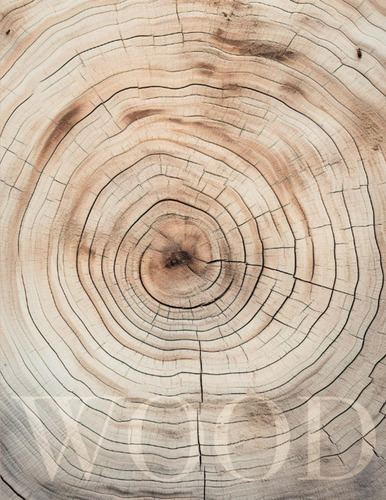 Libro: Neutral Coffee Table Book: Grounded, Resilient, Stron