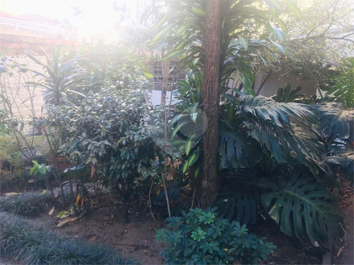 Imagem 21 de 26 de Casa-são Paulo-tatuapé | Ref.: Reo538428 - Reo538428
