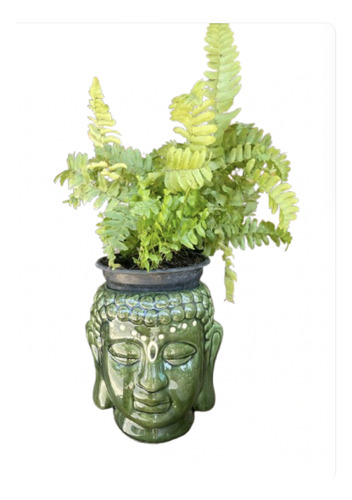 Maceta De Ceramica Con Forma De Cabeza De Buda Color Verde