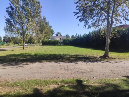 Imagen 3 de 9 de Terreno En Puerto Roldan