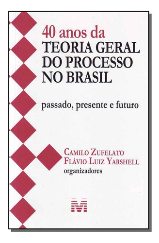 Libro 40 Anos Da Teo Geral Proc No Brasil 01ed 2013 De Zufel