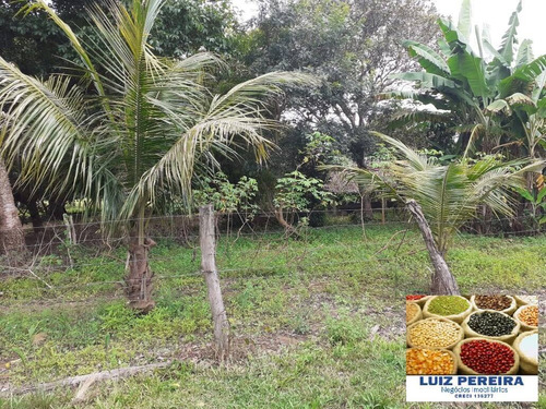 Imagem 2 de 15 de Fazenda À Venda Em Dois Irmãos - To - De 13 Alqueirões (dupla Aptidão) - 1687