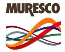 Wallsticker Cardo Negro Vinilo Autoadhesivo Muresco 15731