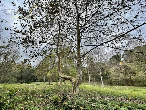 Rancho En Venta En Rancho Viejo Xolostla 10 Minutos De Xalapa Zona Coapexpan.