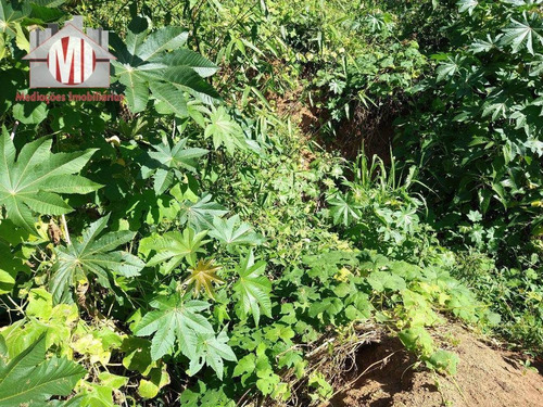 Imagem 7 de 30 de Chácara Com Excelente Terreno, Pomar, Riacho, Pertinho Da Cidade Com 02 Dormitórios À Venda, 12000 M² Por R$ 240.000 - Pedra Bela - Pedra Bela/sp - Ch0666