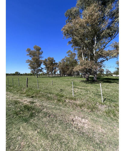 Lote Ubicado A 700 Metros Ruta 41 - San Miguel Del Monte