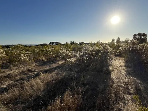 Oportunidad, Parcela Camino Las Dichas Algarrobo