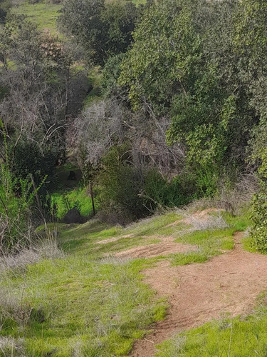 Cajon De Lebu - Se Vende Linda Parcela De 5000 M2