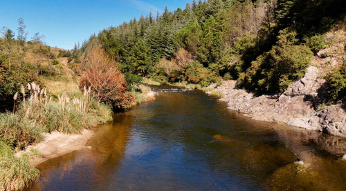 Magnificas Fracciones De Campo De 3 Ha. Con Costa De Arroyo Y Bajada Al Río. San Miguel De Los Rios. Yacanto De Calamuchita