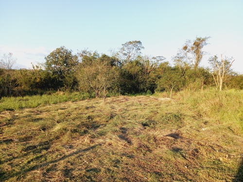 Imagen 1 de 5 de En Venta Terreno Económico A 400 Metros De La Ruta Sexta