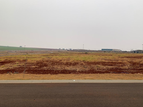 Imagem 6 de 6 de Terreno Residencial Com 275 M² No Condomínio Residencial Alto Da Boa Vista Na Cidade De Cravinhos - Te00220 - 68773510
