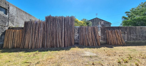 Imagen 3 de 8 de Poste Palo Euca Largo 4 Mts Ø 6-9 Eucalipto Tirantes Pérgola