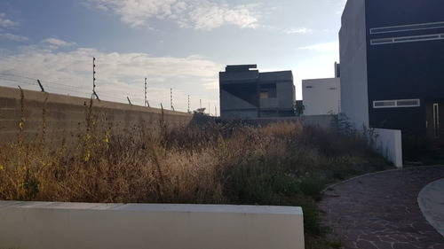 Se Vende Terreno En La Cima, De 250 M2 - Esquina, Alberca, C